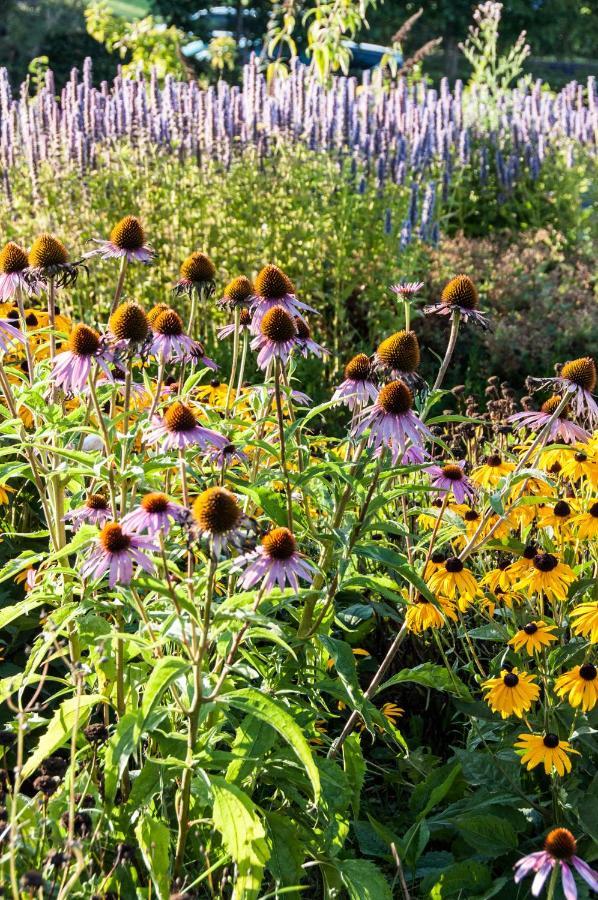 Puurteuven B&B Tussen Kunst En Natuur 부런 외부 사진