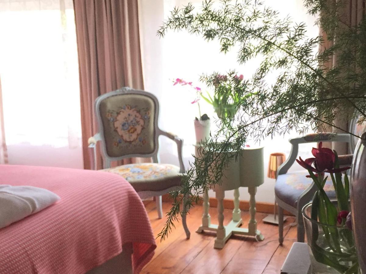 Puurteuven B&B Tussen Kunst En Natuur 부런 외부 사진